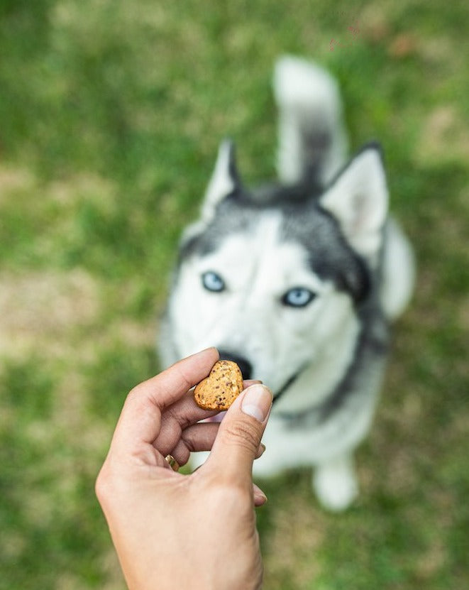 ADAPTOGEN CHEWS - 3 PACK - BUNDLE & SAVE - 90 CT