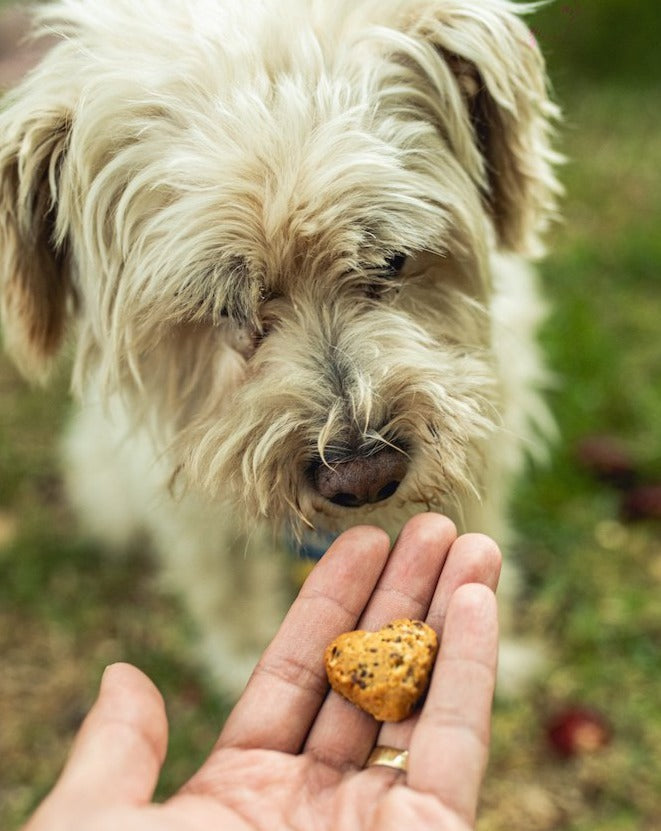 ADAPTOGEN BITES - CALM + RELAX - PEANUT BUTTER - 30 CT